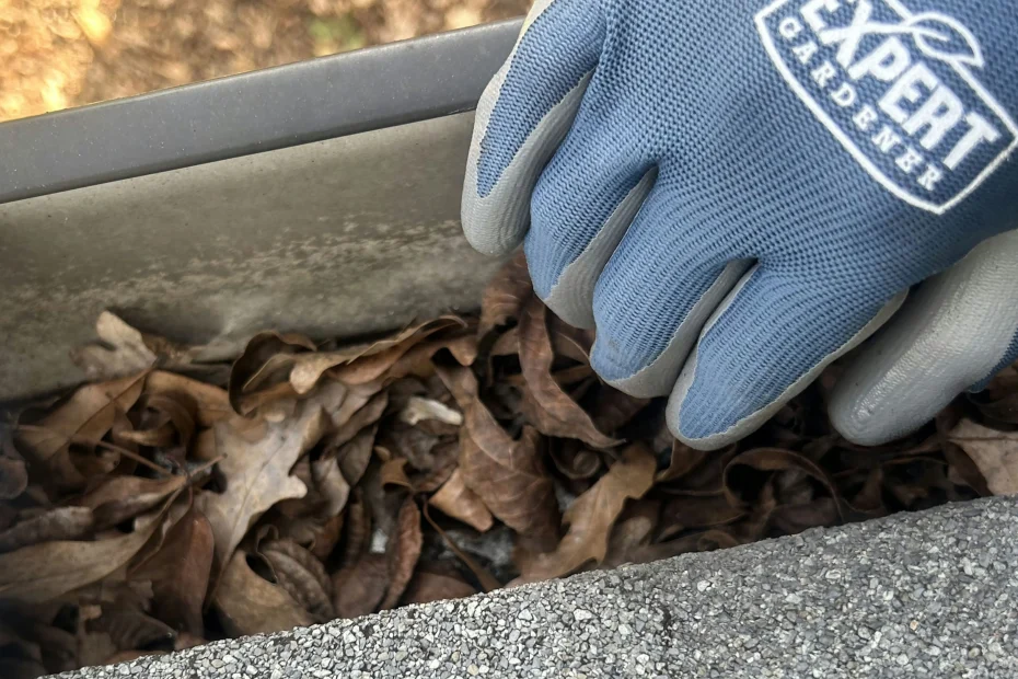 Gutter Cleaning Glenpool OK